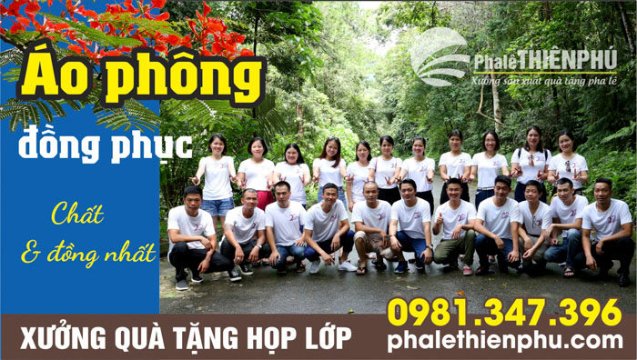Áo phông quà tặng họp lớp