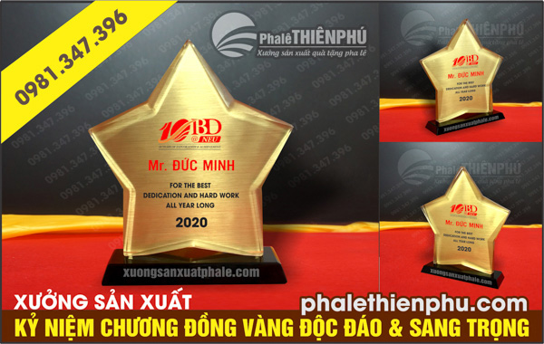 Kỷ niệm chương ngôi sao đồng vàng