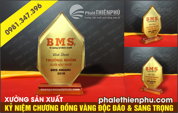 Kỷ niệm chương chóp đồng vàng