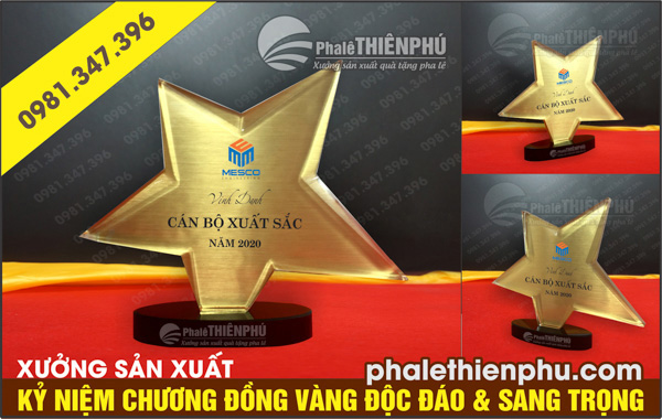 Kỷ niệm chương sao lệch đồng vàng