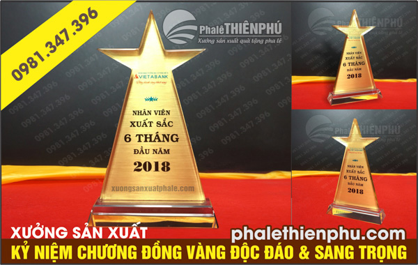 Kỷ niệm chương sao cao đồng vàng