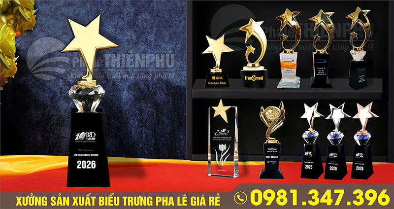 Mẫu kỷ niệm chương pha lê thân đúc gắn ngôi sao