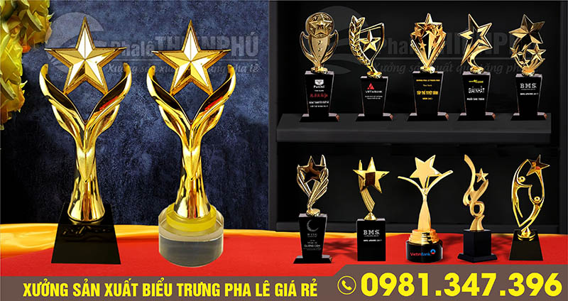 Mẫu kỷ niệm chương pha lê gắn ngôi sao kim loại cao