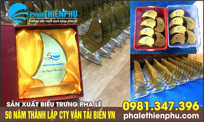 sản xuất biểu trưng 50 năm vận tải biển việt nam