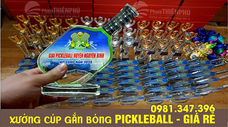 Các mẫu cúp đánh giải pickleball 05