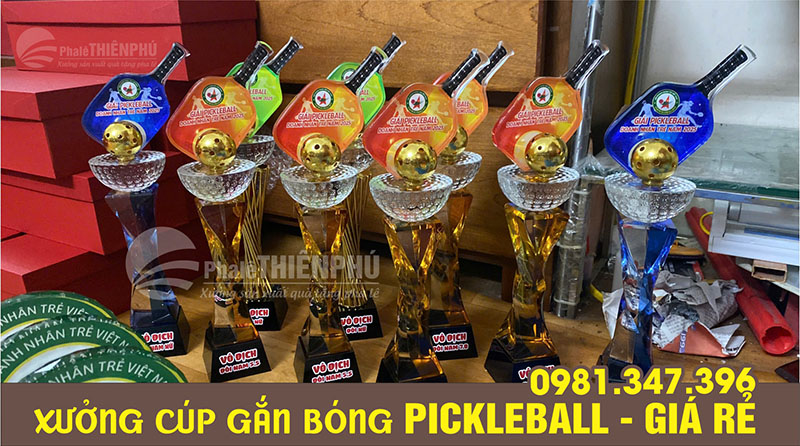 Các mẫu cúp đánh giải pickleball 08