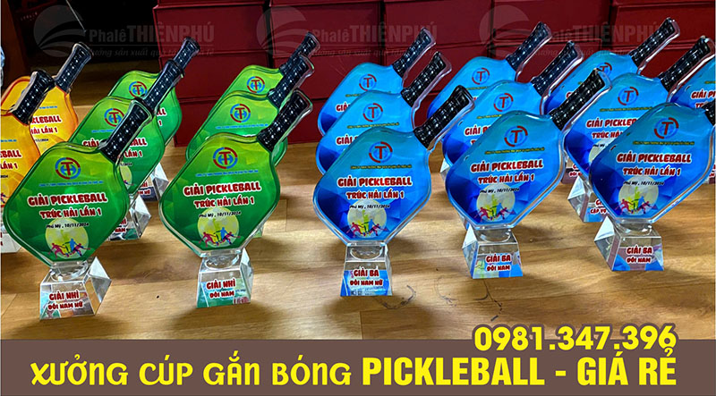 Các mẫu cúp đánh giải pickleball 14
