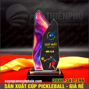 Cúp giải pickleball 11
