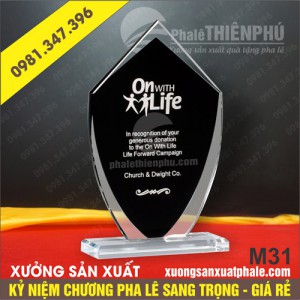 Kỷ niệm chương pha lê 31