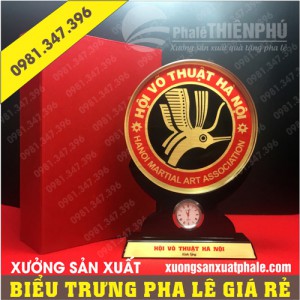 Biểu trưng pha lê hội võ thuật