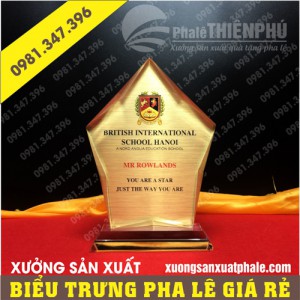 Biểu trưng pha lê ngôi sao vàng