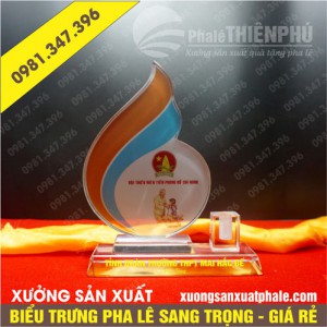 Biểu trưng pha lê đội thiếu niên tpHCM