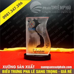 Biểu trưng pha lê EVN