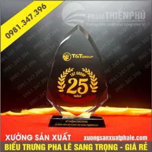 Biểu trưng pha lê tập đoàn T&T