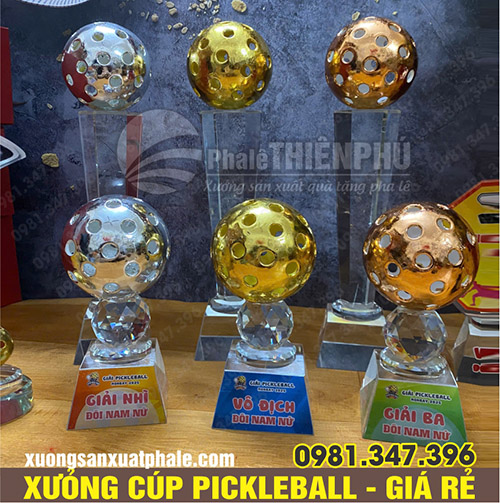 Cúp gắn bóng pickleball thấp