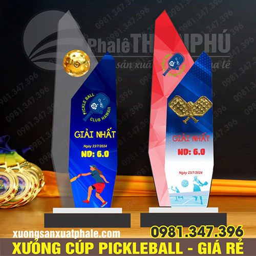 Cúp pickleball đôi gắn bóng 