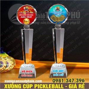 Cúp gắn bóng pickleball cao