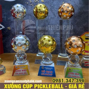 Cúp gắn bóng pickleball thấp
