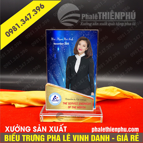 Biểu trưng pha lê vinh danh hình đứng
