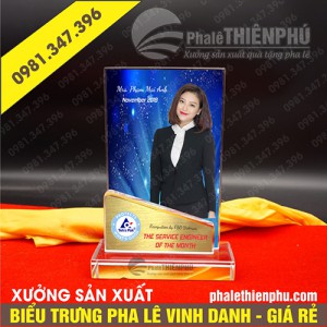Biểu trưng pha lê vinh danh hình đứng